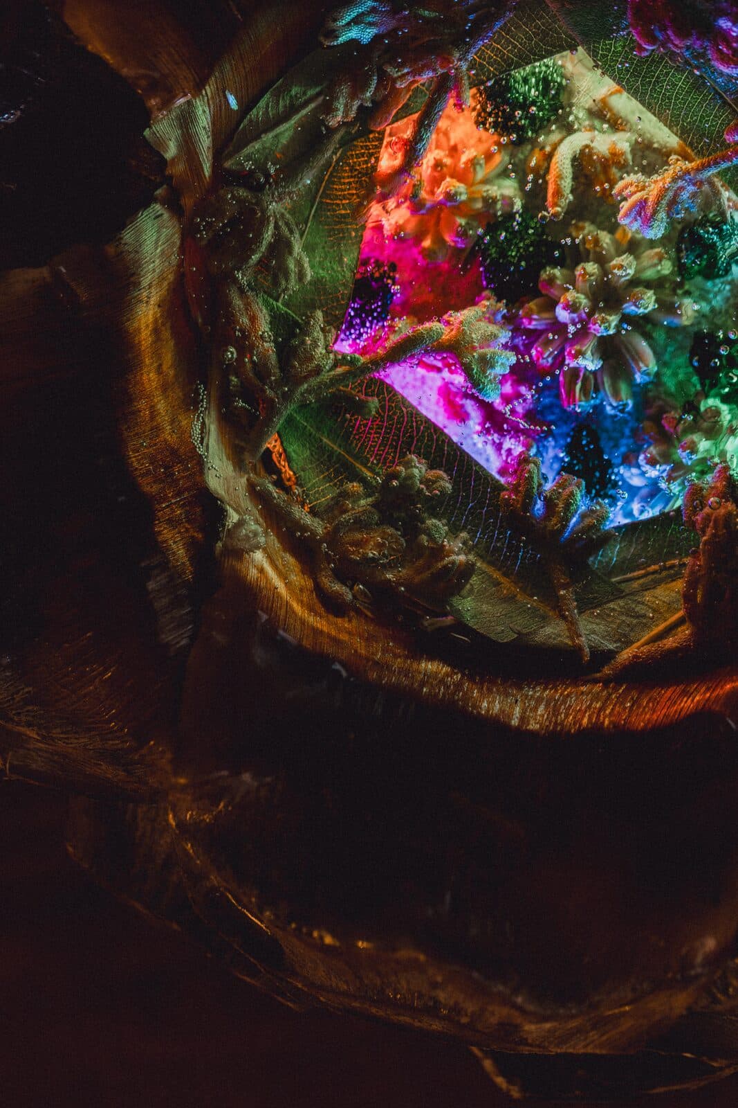 Glowing close-up of an Eluztres lamp in the dark