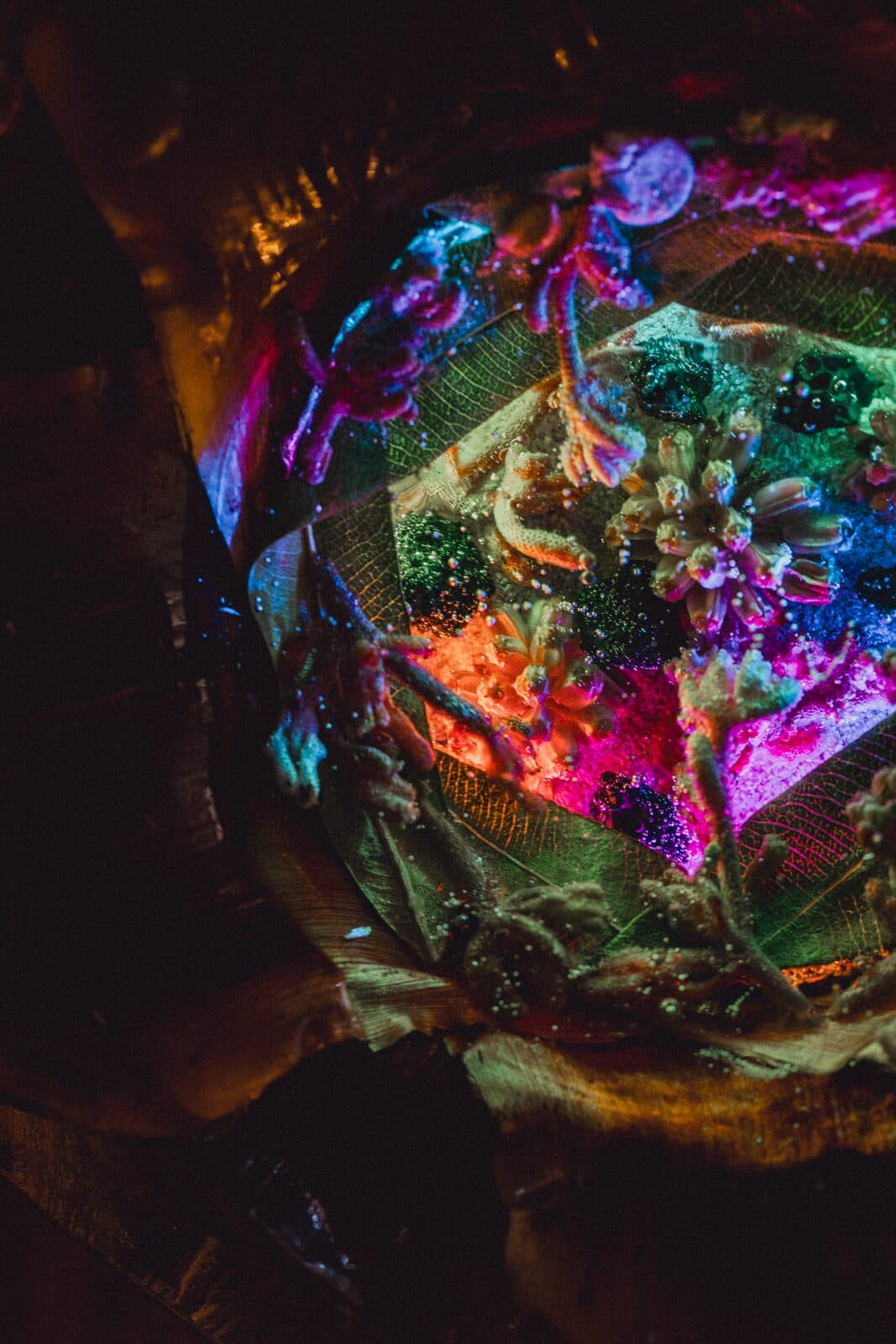 Glowing close-up of an Eluztres lamp in the dark