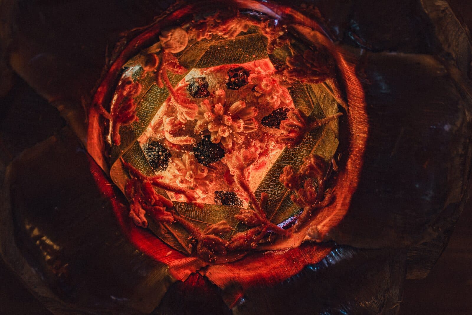 Glowing close-up of an Eluztres lamp in the dark