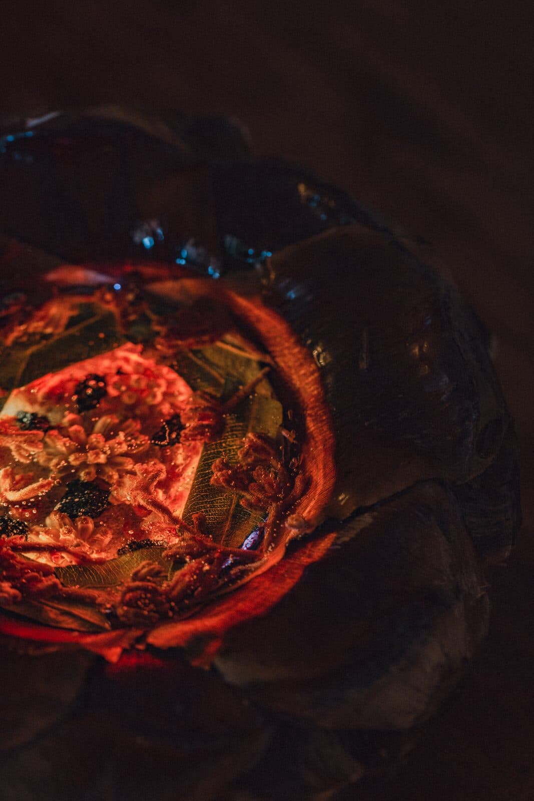 Glowing close-up of an Eluztres lamp in the dark
