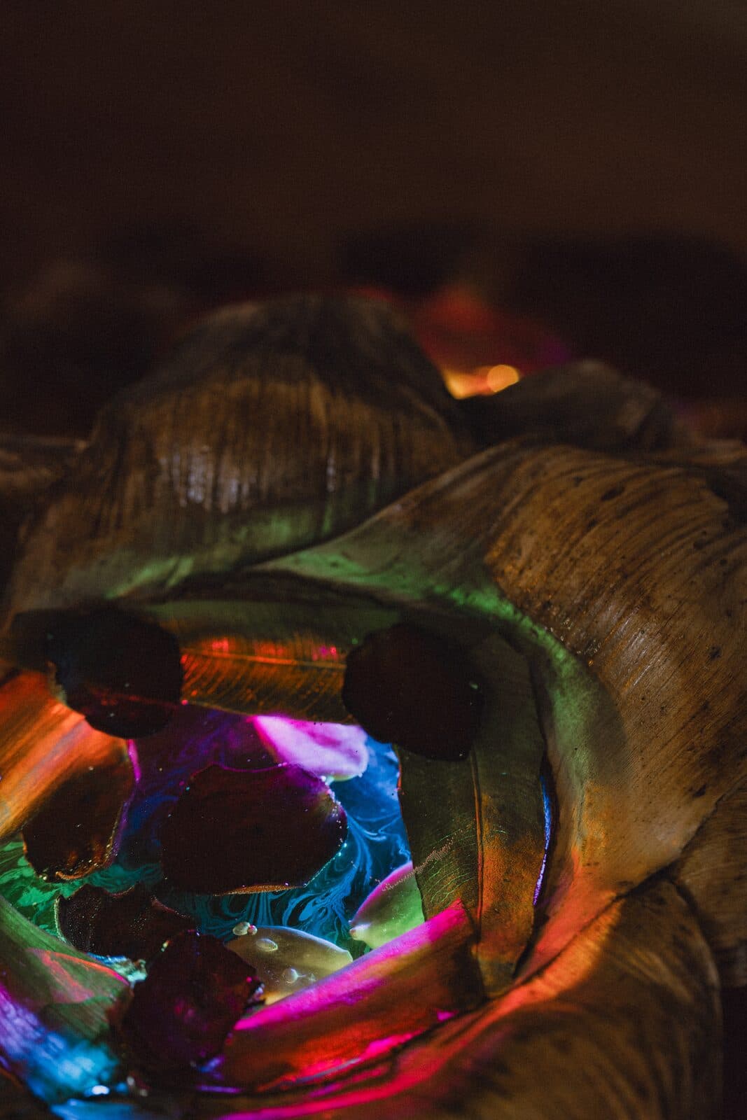 Glowing close-up of an Eluztres lamp in the dark