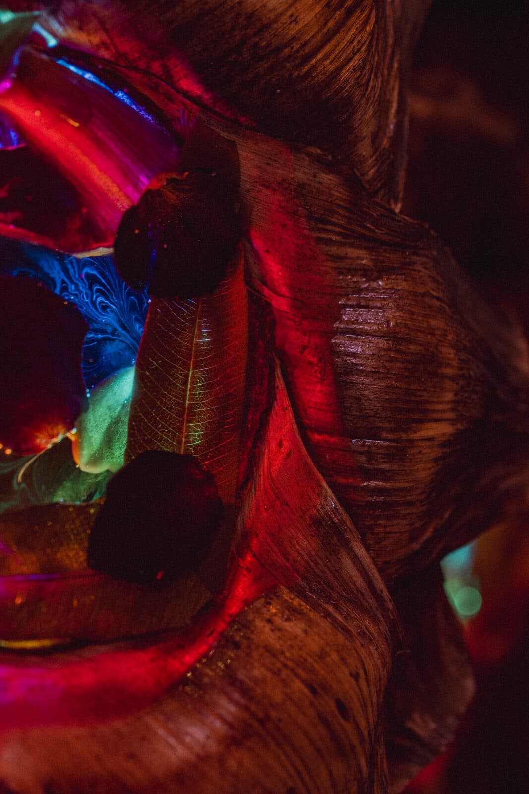 Glowing close-up of an Eluztres lamp in the dark