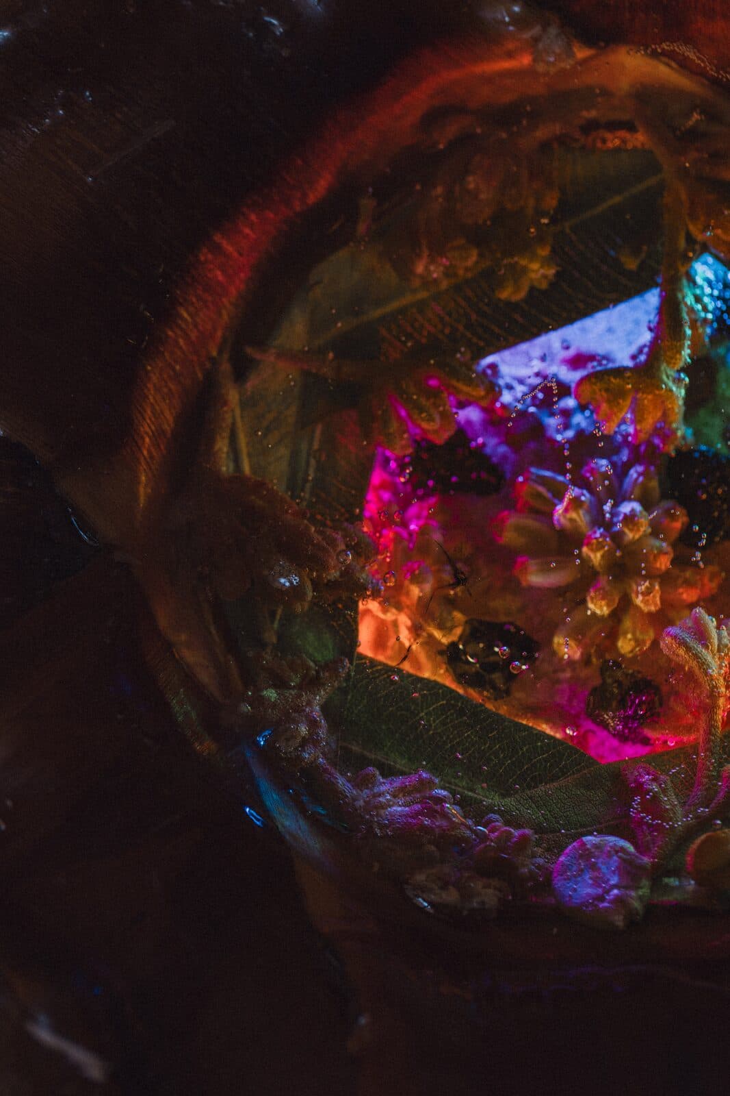Glowing close-up of an Eluztres lamp in the dark